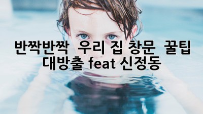 ✨ 반짝반짝 ✨ 우리 집 창문, 🤩 꿀팁 대방출! (feat. 신정동)