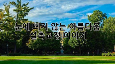 눈에 띄지 않는 아름다움, 설측교정 이야기